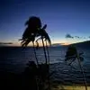 Rich Davis - @rich.davis83 - TikTok