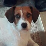 rich davis - @rich_davis_ - Instagram