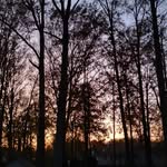 Richard Dodson - @richdodson66 - Instagram