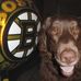 Richie Dodson - Facebook
