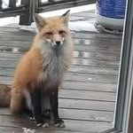 Rick Dodson - @rickdodson21 - Instagram
