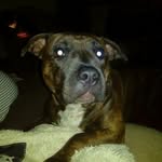 Rick Downing - @rick.downing.129 - Instagram