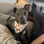 Rich Downs - @rdowns32 - Instagram