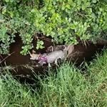 Richard Stephen Downs - @richard.s.downs - Instagram