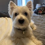 Rich Elliott - @v_octavian_v - Instagram