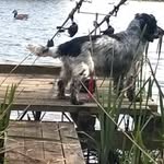 Rich Elmore - @richrich4461 - Instagram