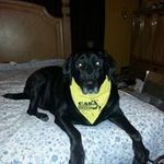 Rick Elmore - @rick_elmore - Instagram