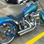 rich farley - @shelby50dog - Instagram
