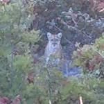 Rick Farley - @rick.farley.56 - Instagram