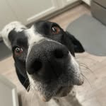 Rich Fleming - @k1ng_r1ch_08 - Instagram