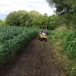 Rich Fleming - @rich.fleming.75 - Instagram
