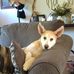 Richard Fleming - Facebook