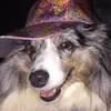 Richard Geiger320 - @rggeiger - TikTok