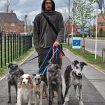 Rich Goddard - @rich82674 - Instagram