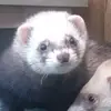 richgoddard73 - @richgoddard73 - TikTok