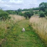 Rich Goodman - @battlec4t - Instagram