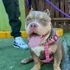 Gregory Rich - @gregory.rich8 - TikTok