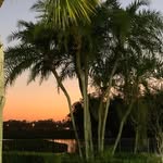 Rich Gross - @richard.gross.94214 - Instagram