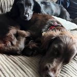 Rich Head - @richhead74 - Instagram