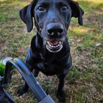 Rich Henderson - @rich102065 - Instagram