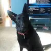Rich Henderson - @rich.henderson - TikTok