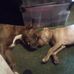 Richard Henderson - Facebook