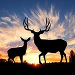 _Rich_Hunter_ - @_rich_hunter_ - Instagram