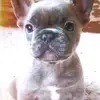 Kendall rich - @kendall_rich - TikTok