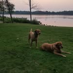Rich Kerr - @tich2022 - Instagram