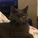 Rich Koch - @kochrich - Instagram