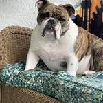 Rich Kocheran - @richkocheran - Instagram