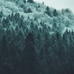 @ Rich Koski - @rich_koski - Instagram
