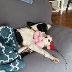 Rich Rutkoski - @richrutkoski - Instagram