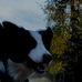 Richard Lamont - Facebook