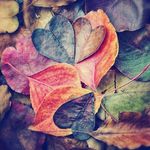 Rick Maher - @rick_maher___ - Instagram