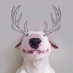 Rich Major - @rich_major - Instagram