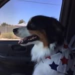 Rich McDaniel - @rich.mcdaniel - Instagram