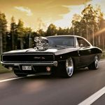Rick Millard - @millard_rick - Instagram