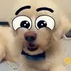 Rich Mitchell9235 - @rich.mitchell9235 - TikTok