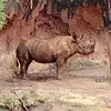 richmitchell309 - @richmitchell309 - TikTok