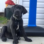 Rich Mullen - @richmaivia - Instagram