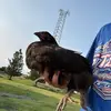 nolan.richmeier.1 - @nolan.richmeier.1 - TikTok
