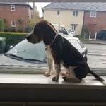 Richard Nolan - @richnolanrichard - Instagram