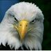Richard Pierre - Facebook