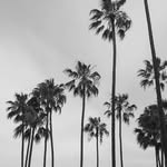 Rich_rules - @rich_rules6 - Instagram
