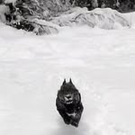 Rich Saunders - @sleepycattrading - Instagram