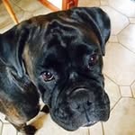Rich Saunders - @rjsaunders67 - Instagram