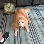 Rich Saunders - @diggetydank - Instagram