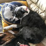 Rich Shaver - @shaverrich - Instagram