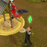 TheRichSims - @richsimsphotos - Instagram